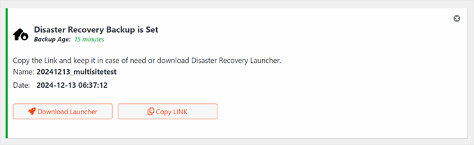 Choosing between downloading a launcher file or copying a link to initiate Duplicator disaster recovery