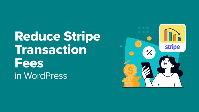 Reduce Stripe Transaction Fees in WordPress