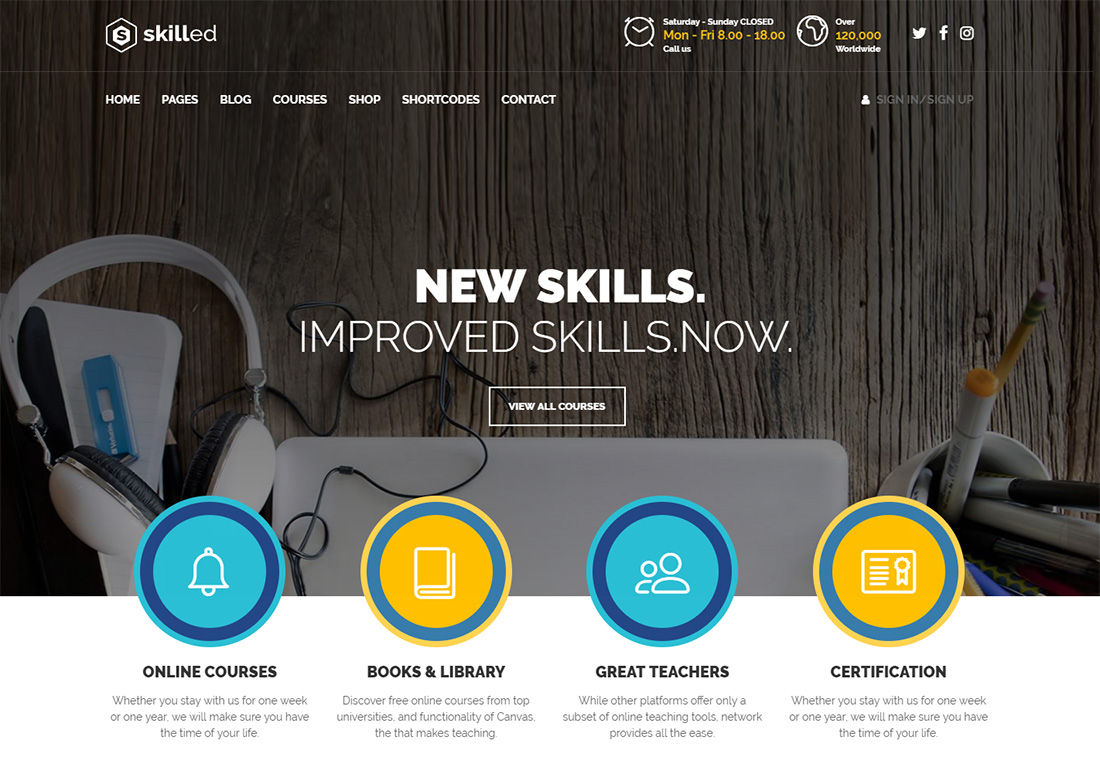 Skilled online course WordPress theme