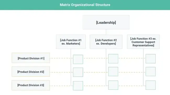 organizational structure, matrix