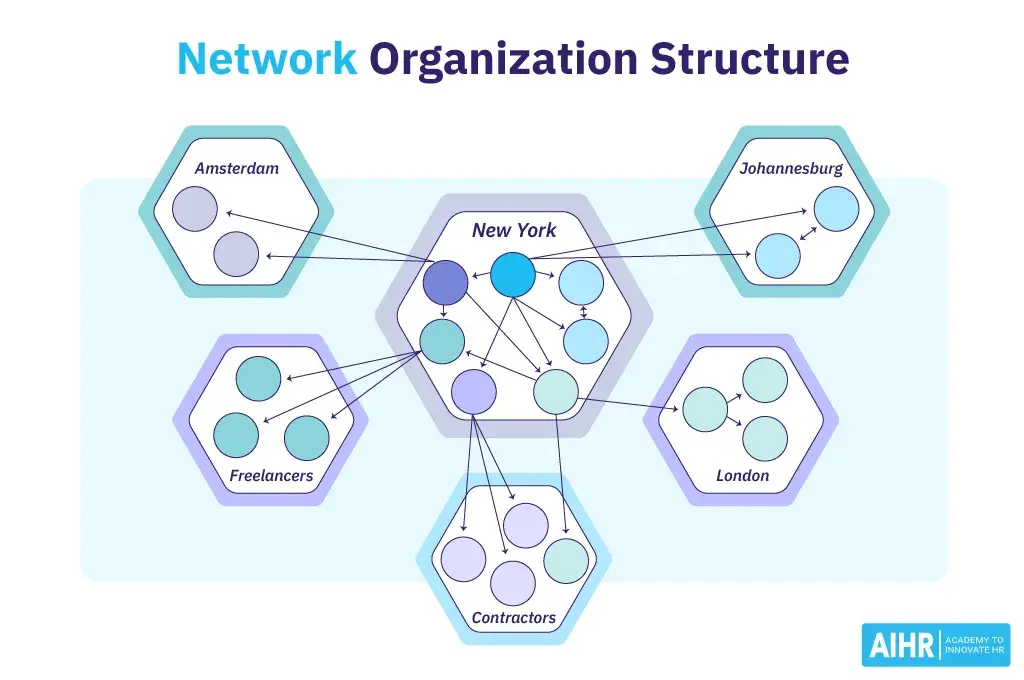 infographic shows the network organization structure.