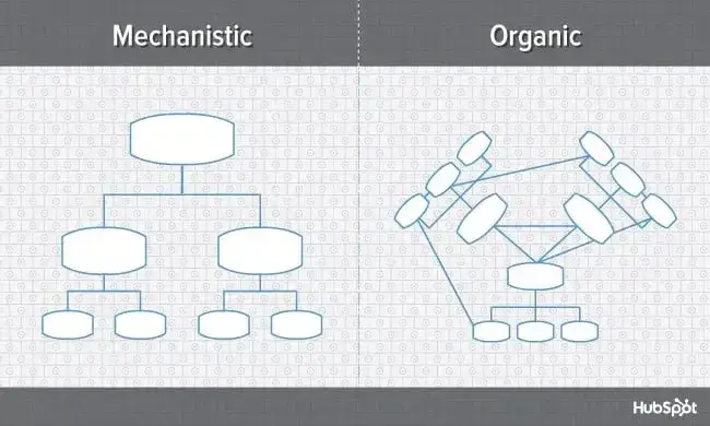 organizational structure, mechanistic vs organic