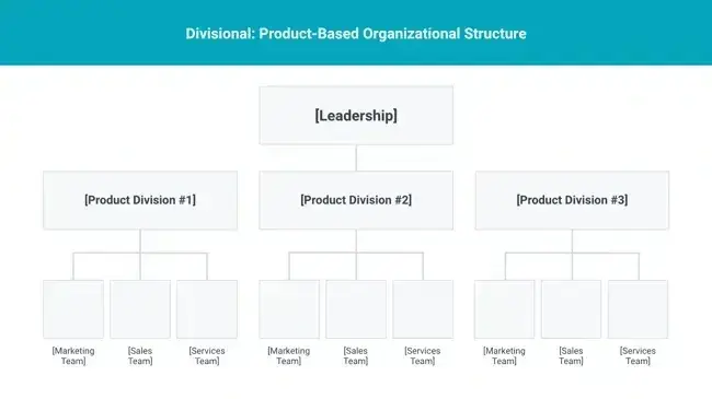 organizational structure, product-based