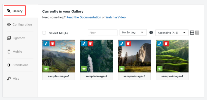 Envira Gallery configuration
