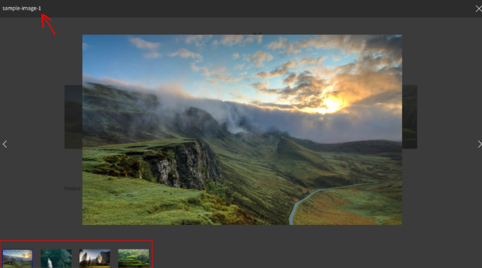 Envira Gallery lightbox preview