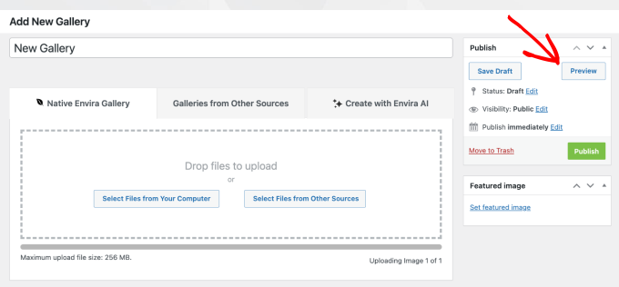 Envira Gallery preview button