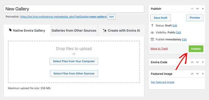 Envira Gallery publish button