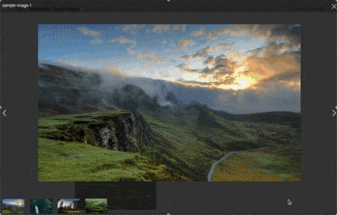 Envira Gallery transition effect slide example