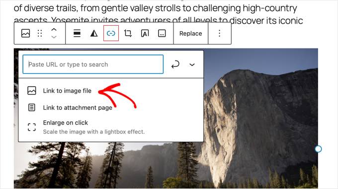 Choose the 'Link to Image File' Option