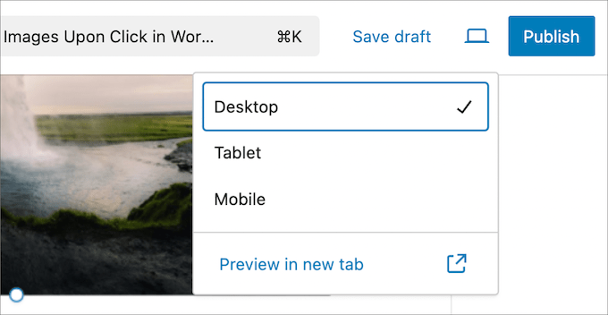 Preview image in new tab