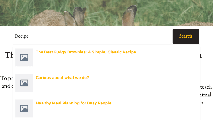 Previewing search bar with live autocomplete