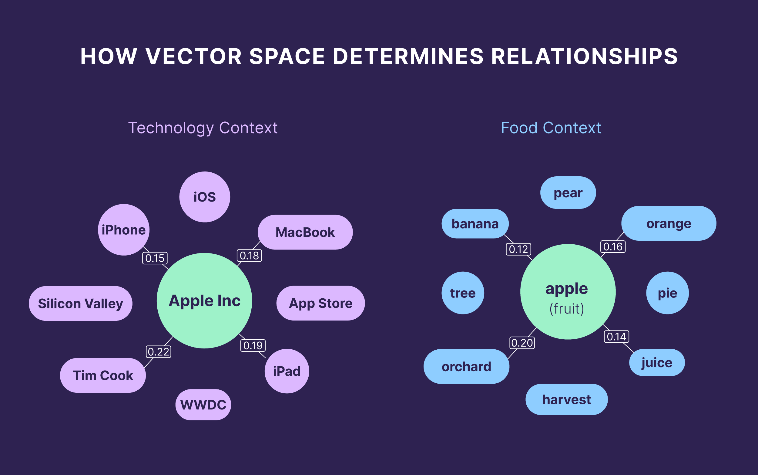 How Vector Space Determines Relationships