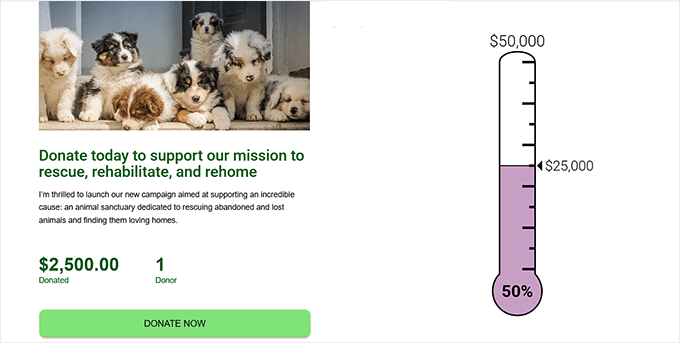 Preview of a simple fundraising thermometer Preview of a simple fundraising thermometer