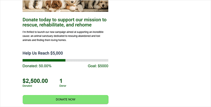 Preview of a fundraising thermometer in Charitable Preview of a fundraising thermometer in Charitable