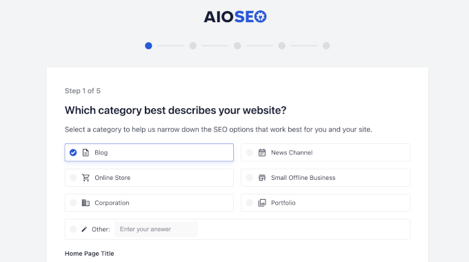 All in One SEO setup wizard