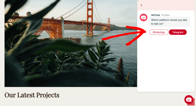WPChat Telegram live chat widget