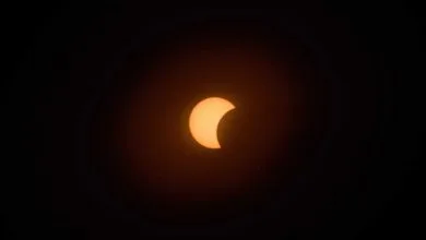6130801.jpg