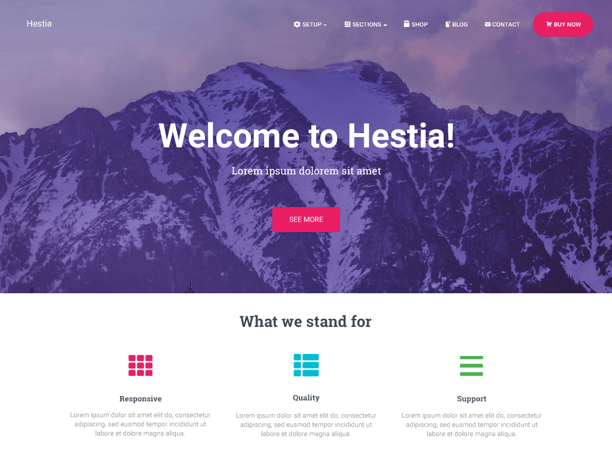 Hestia WordPress theme screenshot